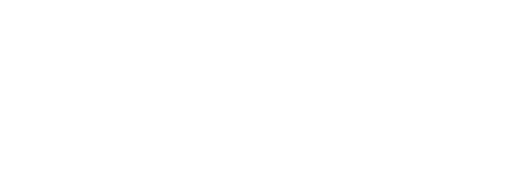 Google Partner