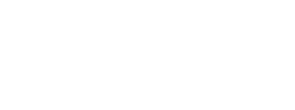 Meta Business Partner