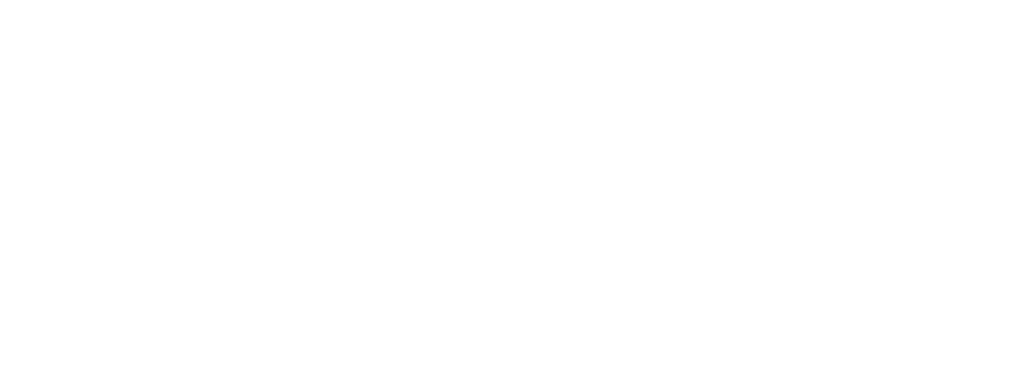 Shopify Partner